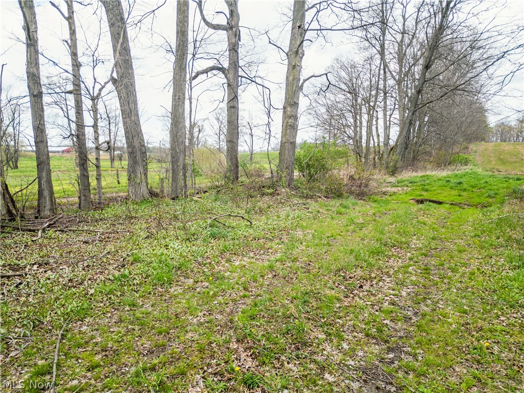 Steiner Road Creston OH 44217