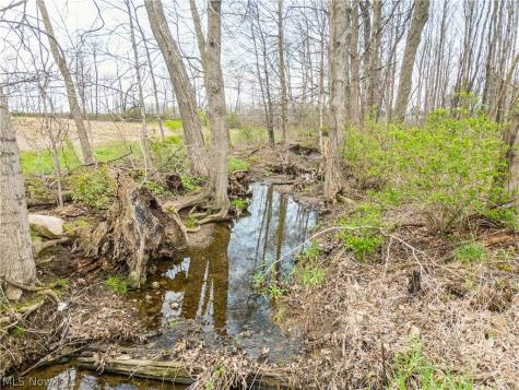 Steiner Road Creston OH 44217