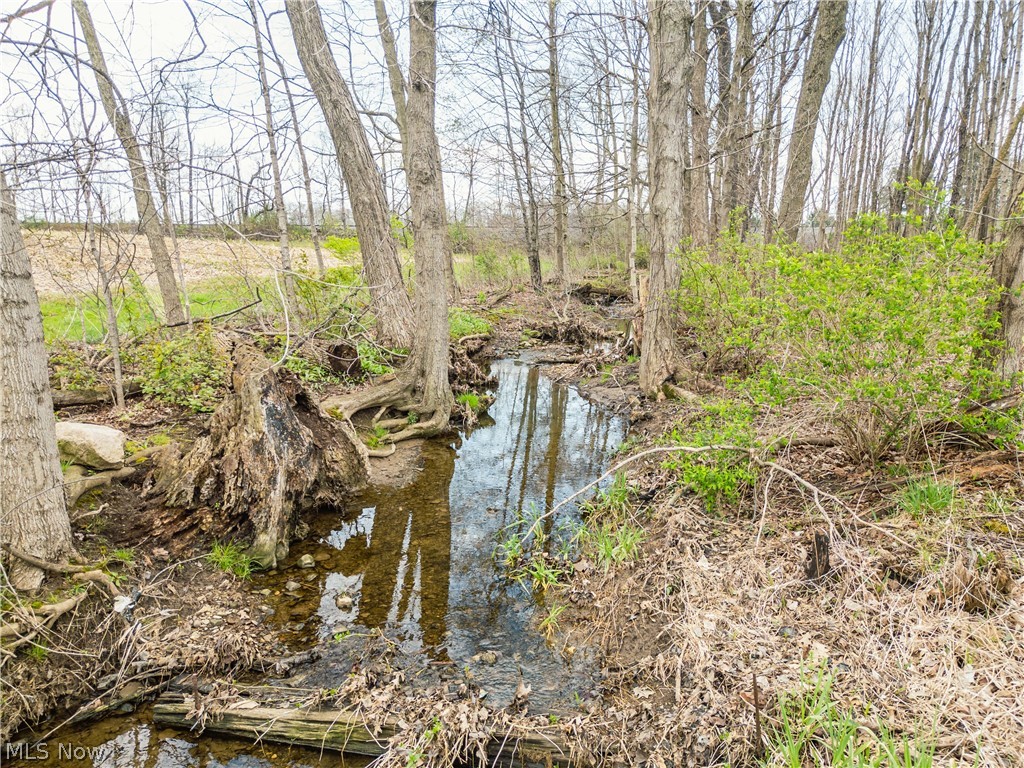 Steiner Road Creston OH 44217