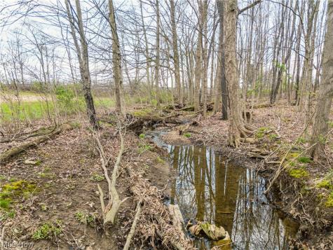 Steiner Road Creston OH 44217