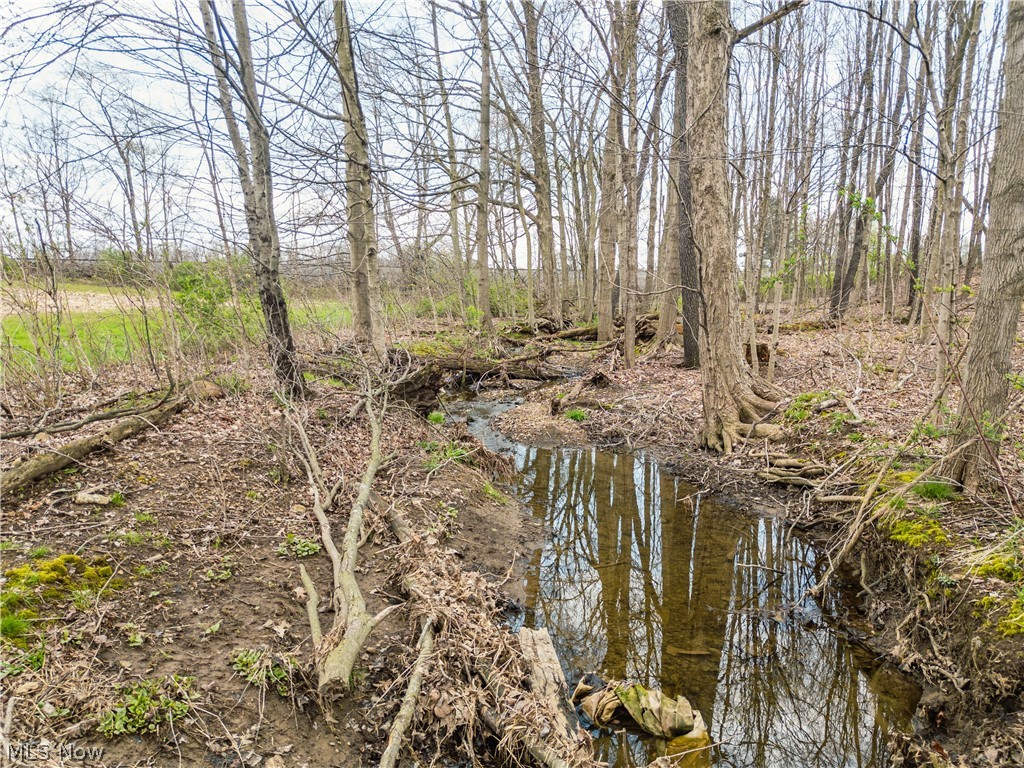 Steiner Road Creston OH 44217