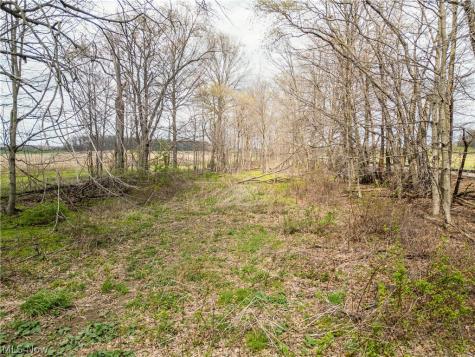 Steiner Road Creston OH 44217