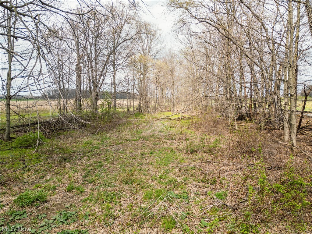 Steiner Road Creston OH 44217