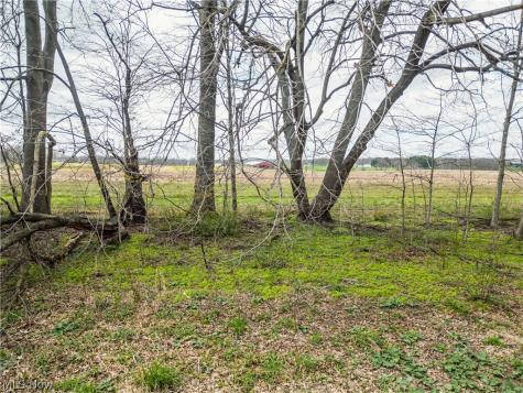 Steiner Road Creston OH 44217