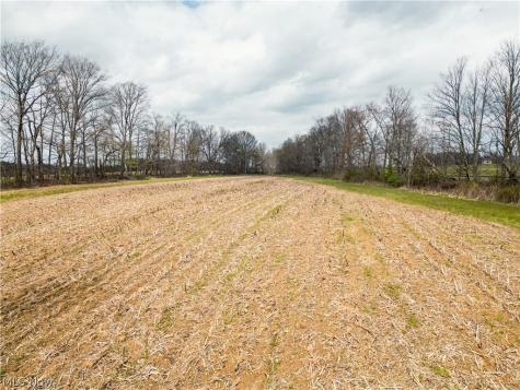Steiner Road Creston OH 44217