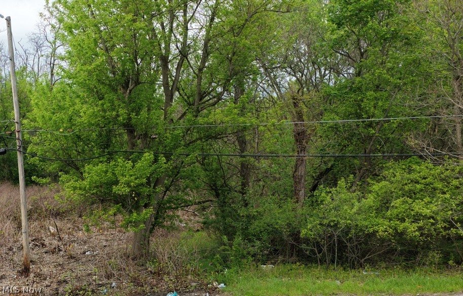 0 Montgomery Avenue Campbell OH 44506