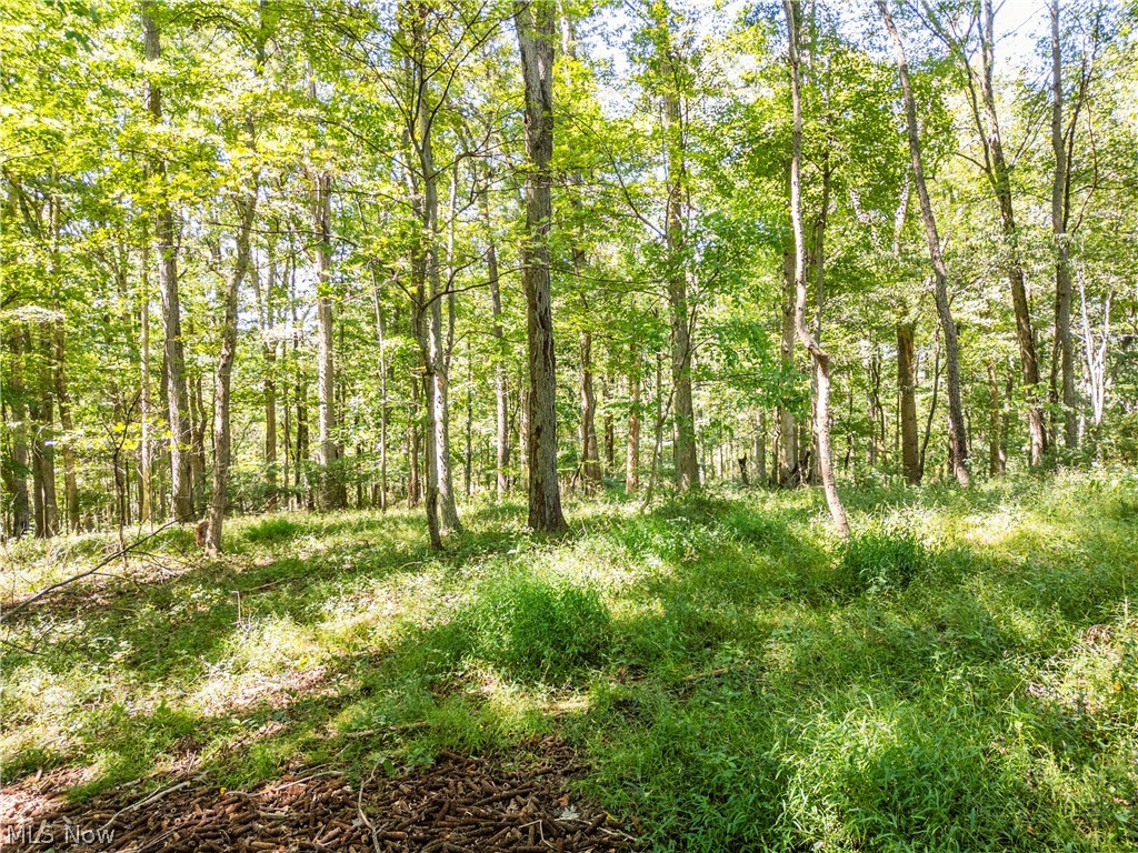 6470 Troendly Road SW Stone Creek OH 43840