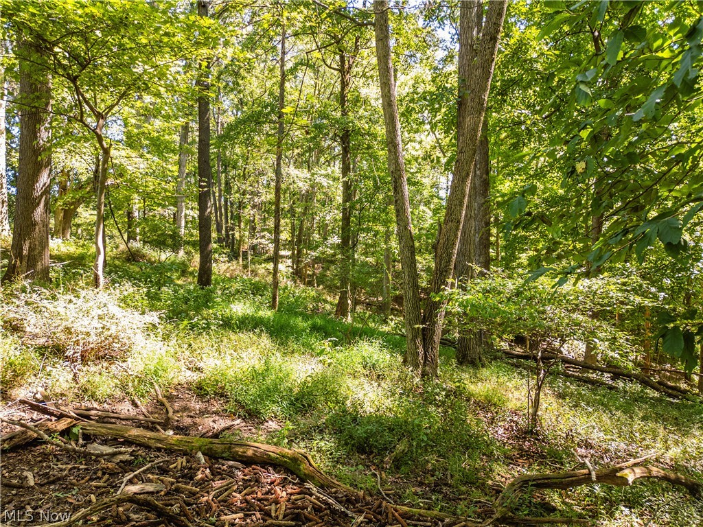 6470 Troendly Road SW Stone Creek OH 43840