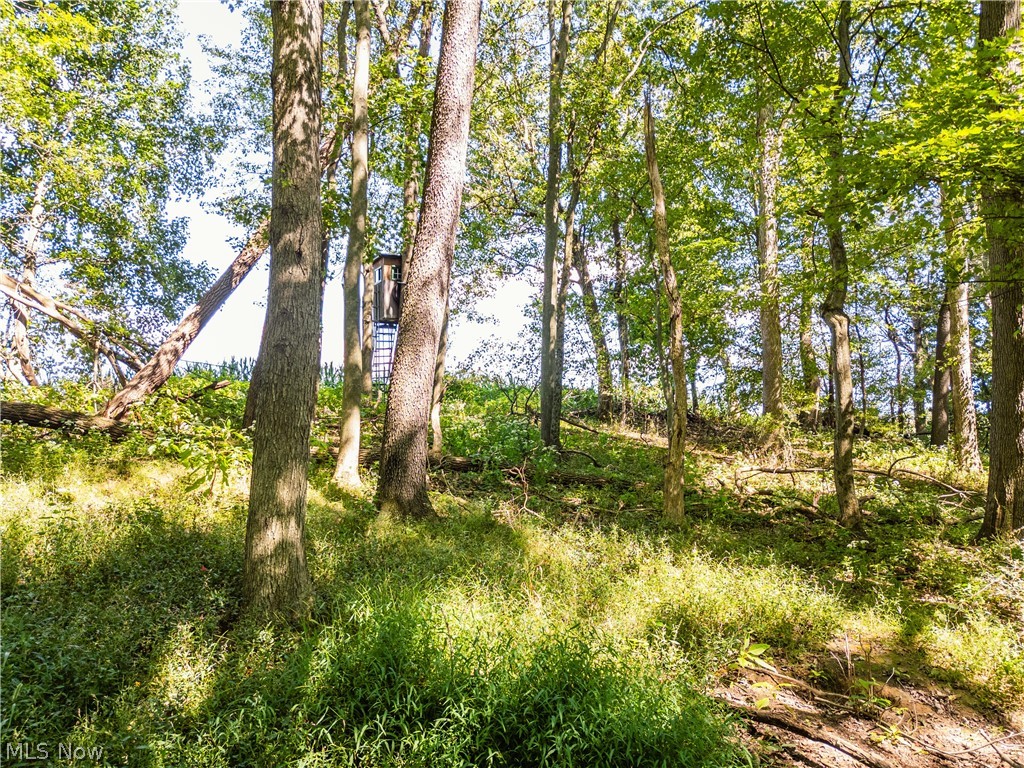 6470 Troendly Road SW Stone Creek OH 43840