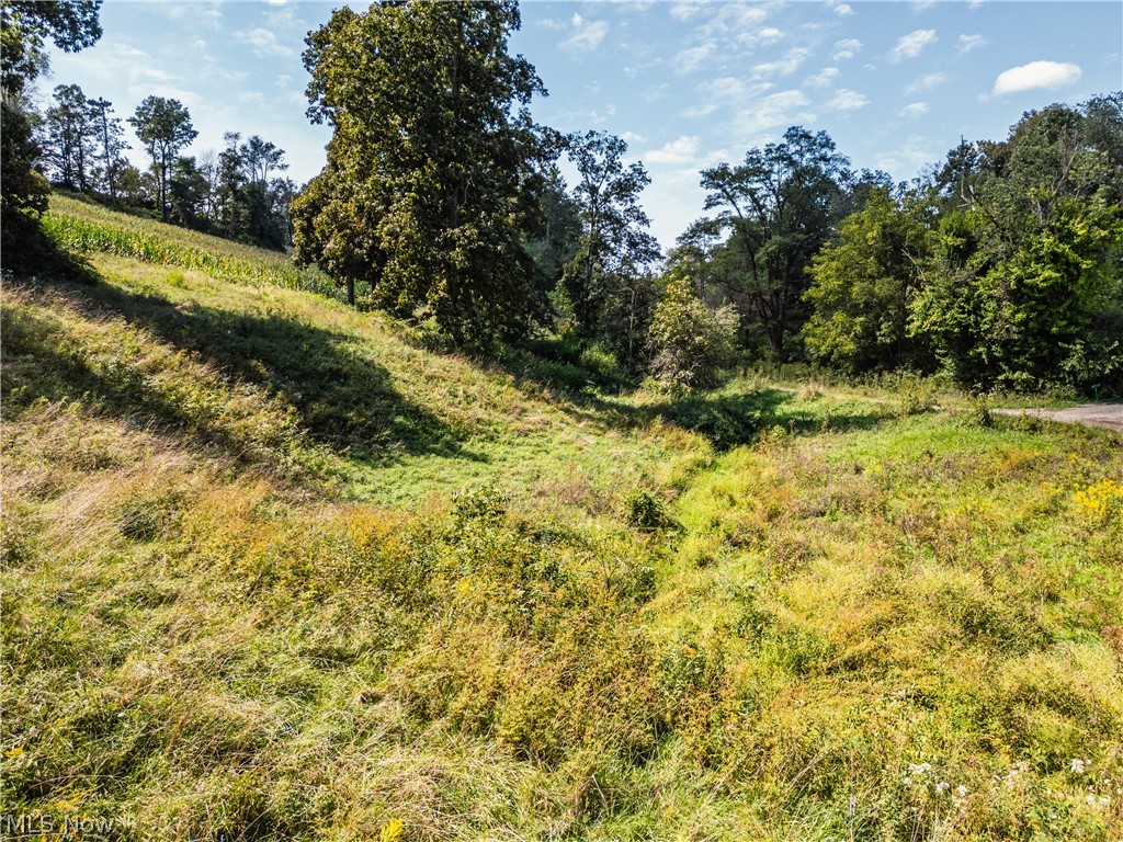 6470 Troendly Road SW Stone Creek OH 43840