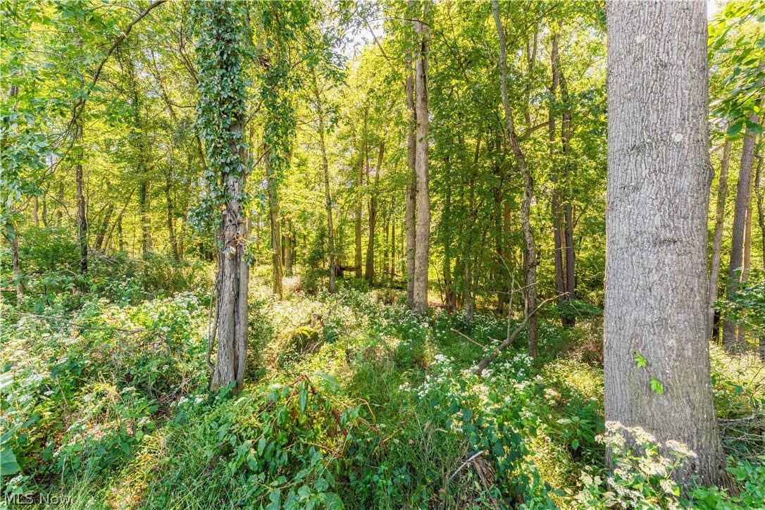 6470 Troendly Road SW Stone Creek OH 43840
