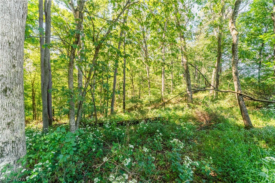6470 Troendly Road SW Stone Creek OH 43840