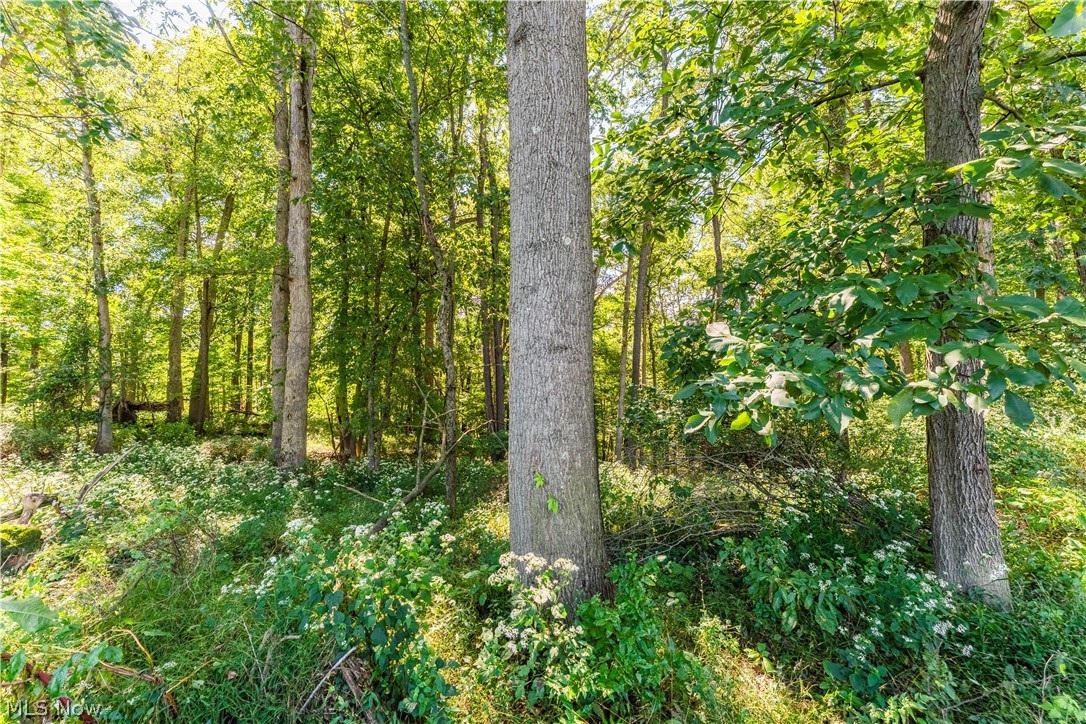 6470 Troendly Road SW Stone Creek OH 43840