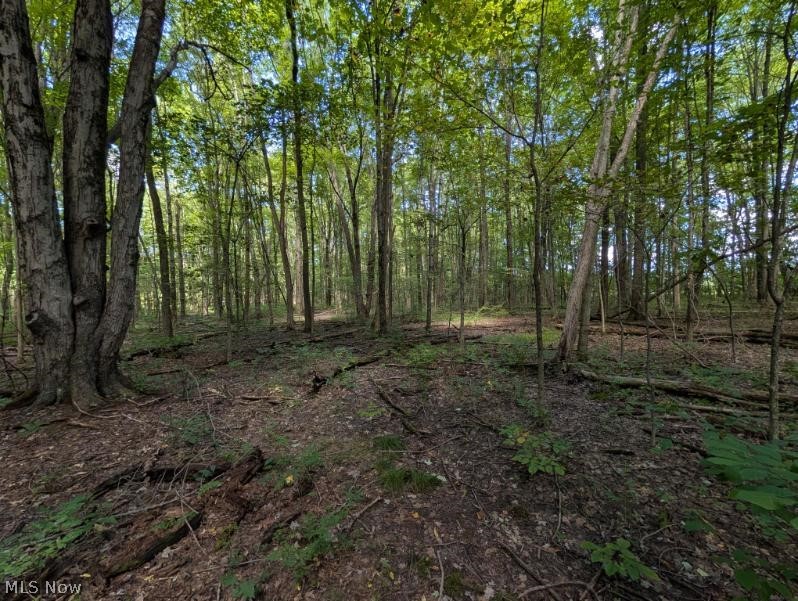 Drake Stateline Road NE Burghill OH 44404
