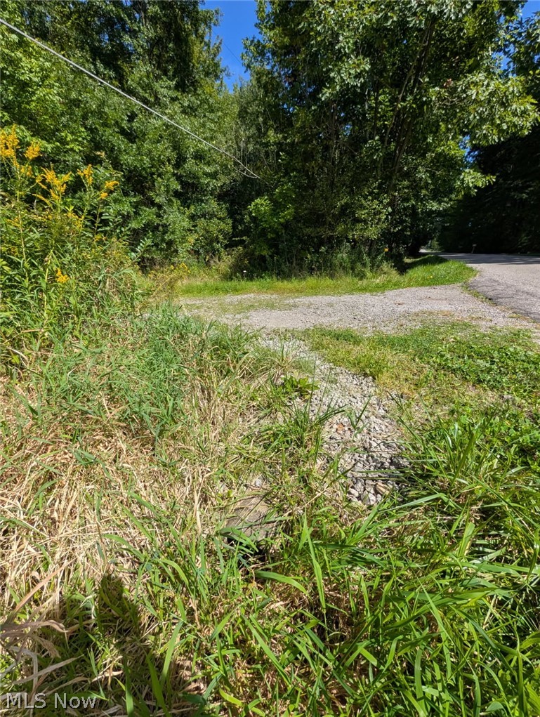 Drake Stateline Road NE Burghill OH 44404