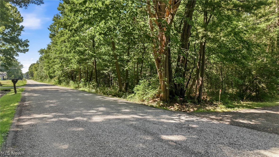 Drake Stateline Road NE Burghill OH 44404