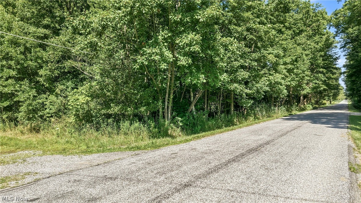 Drake Stateline Road NE Burghill OH 44404