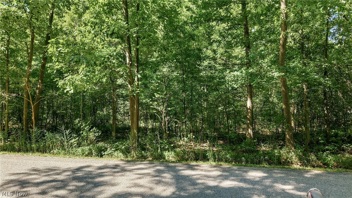 Drake Stateline Road NE Burghill OH 44404