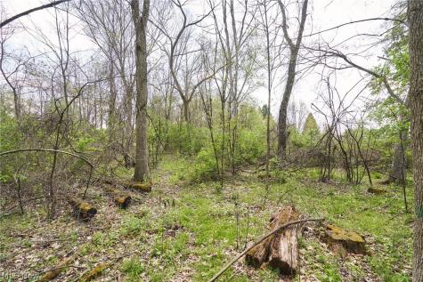 V/l Killian Road Akron OH 44312
