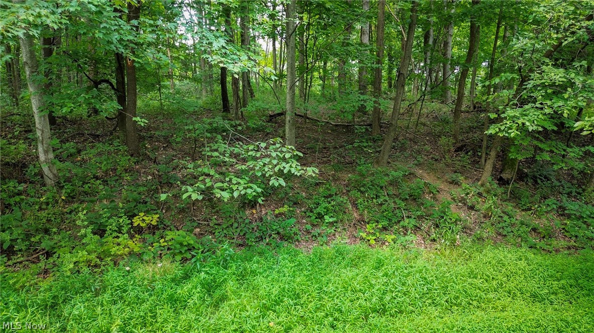 Windy Ridge Dennison OH 44621