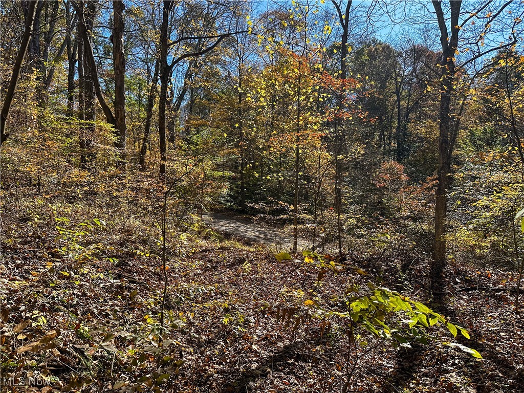 0 Clark Road Cutler OH 45724