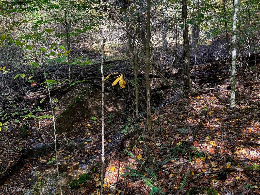 0 Clark Road Cutler OH 45724