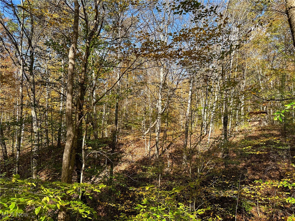 0 Clark Road Cutler OH 45724