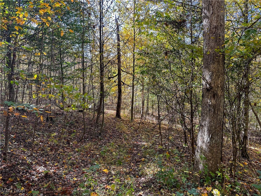 0 Clark Road Cutler OH 45724