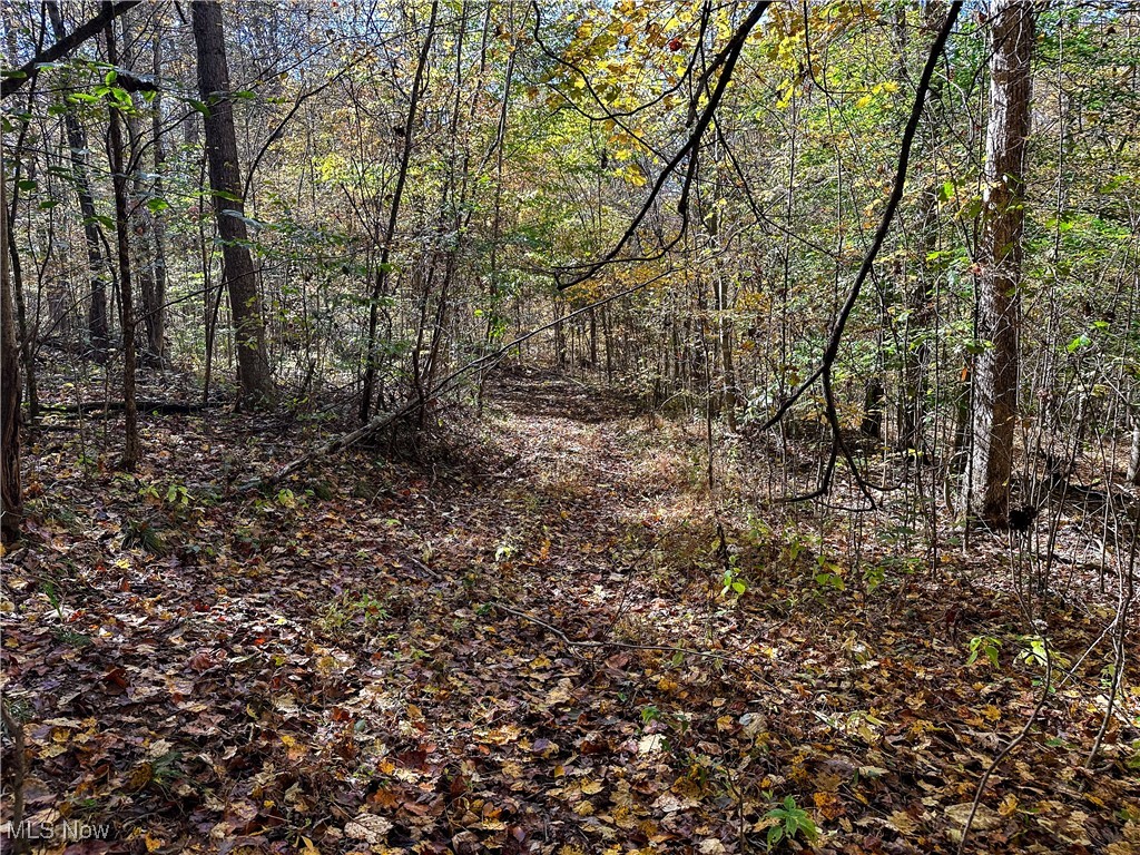 0 Clark Road Cutler OH 45724