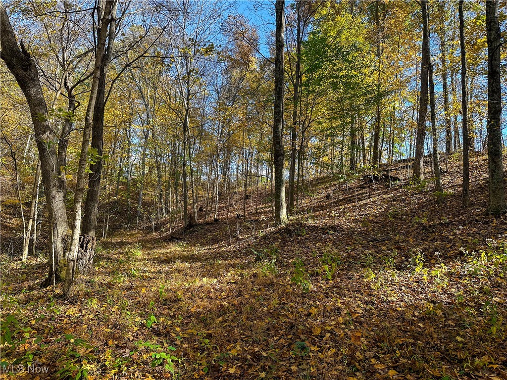0 Clark Road Cutler OH 45724