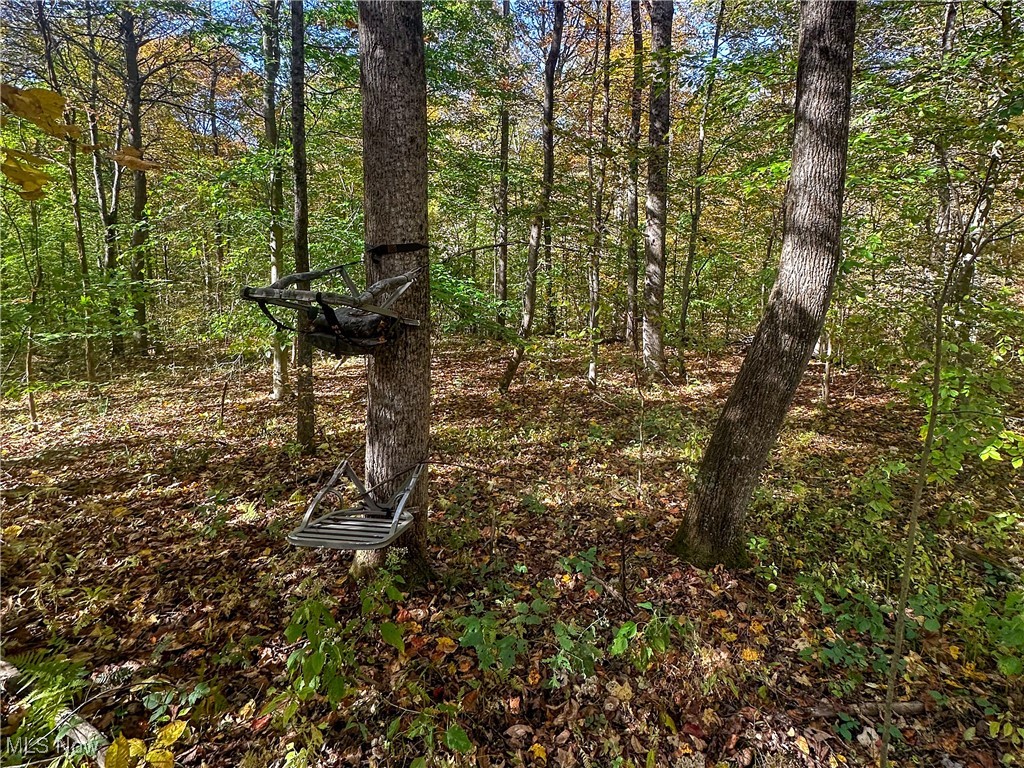 0 Clark Road Cutler OH 45724