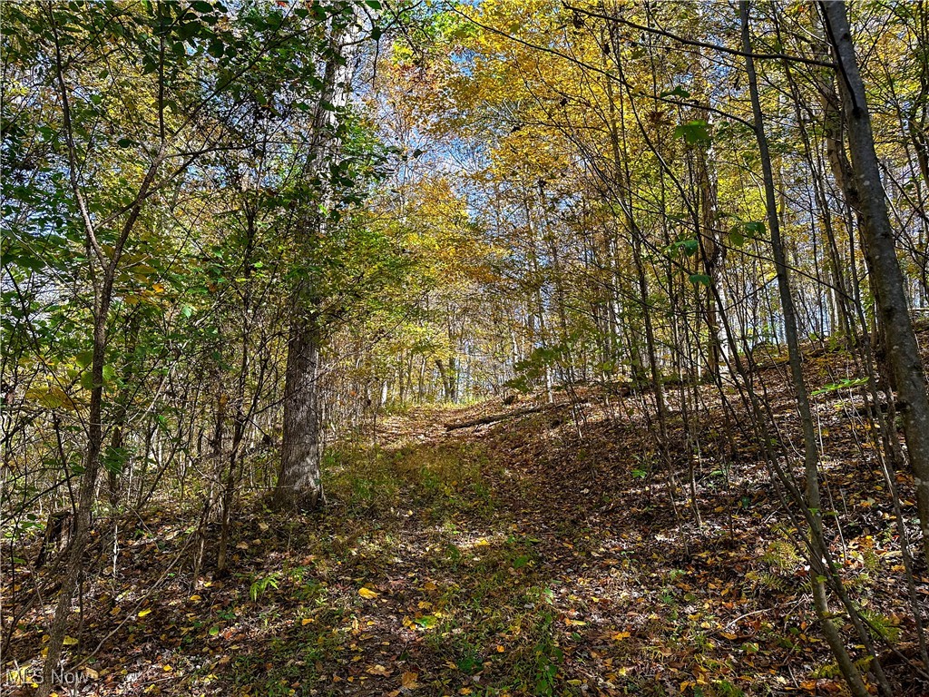0 Clark Road Cutler OH 45724