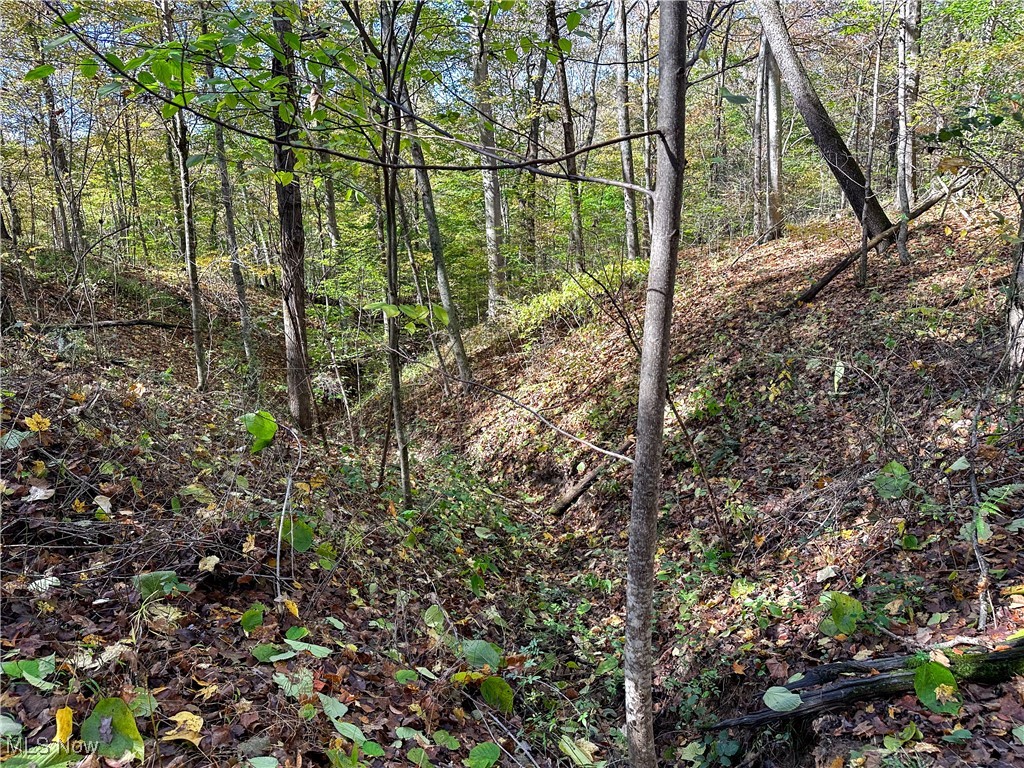 0 Clark Road Cutler OH 45724