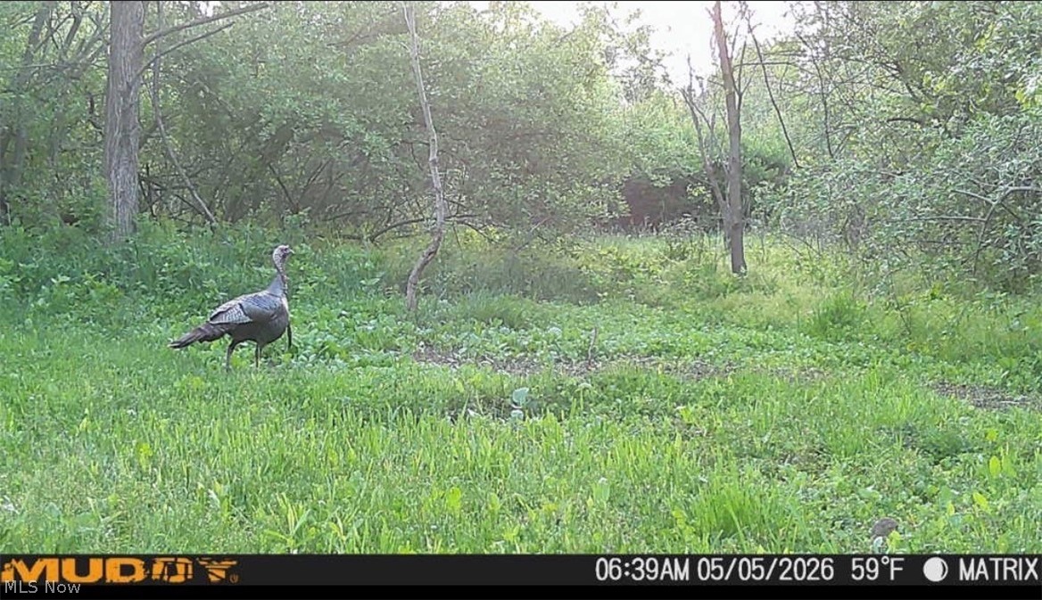 Pugh Road Cadiz OH 43907