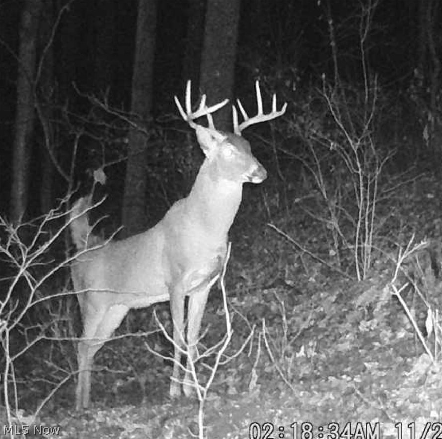 Pugh Road Cadiz OH 43907
