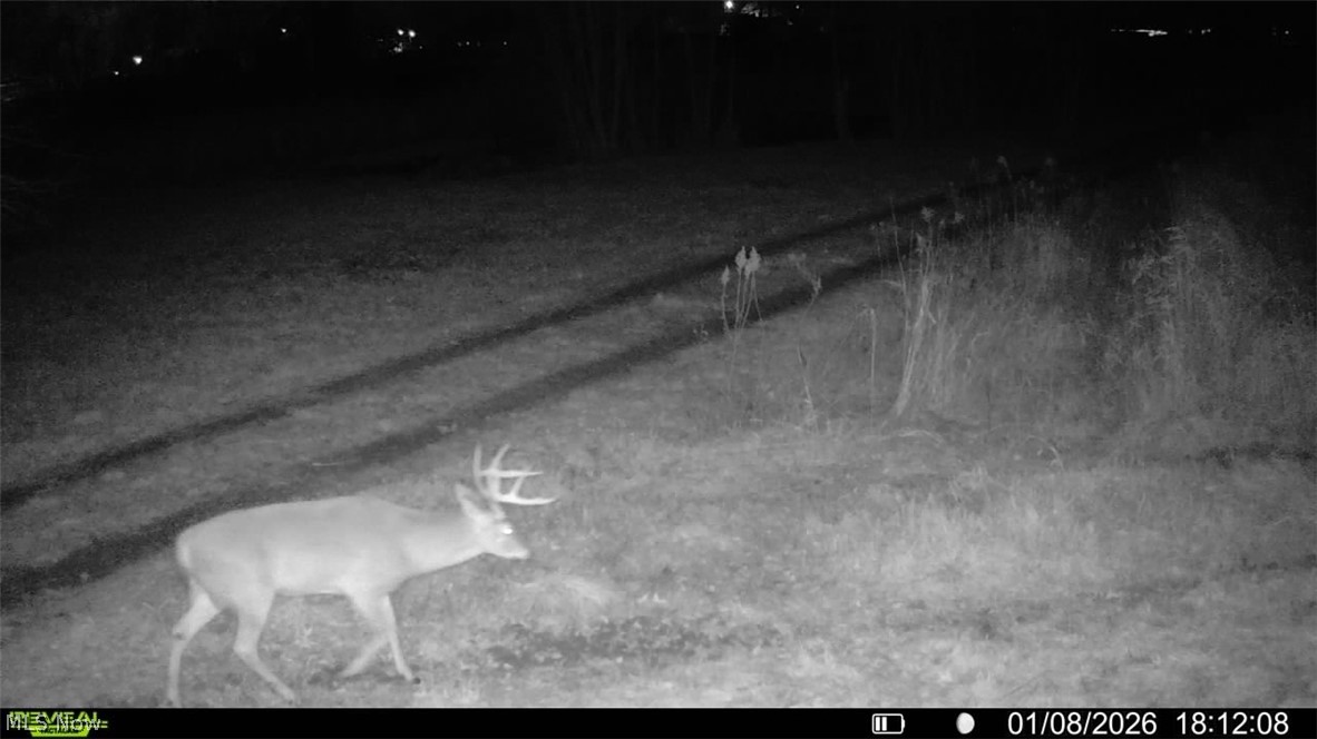 Sherr Avenue SE Canton OH 44707