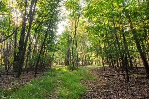 10772 Lawndell Road SW Navarre OH 44662