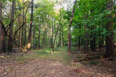 10772 Lawndell Road SW Navarre OH 44662