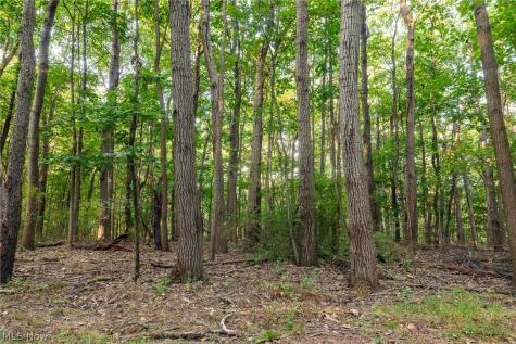 10772 Lawndell Road SW Navarre OH 44662