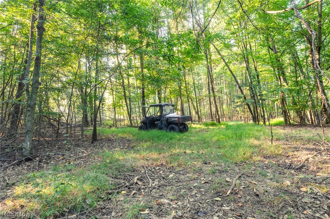 10772 Lawndell Road SW Navarre OH 44662