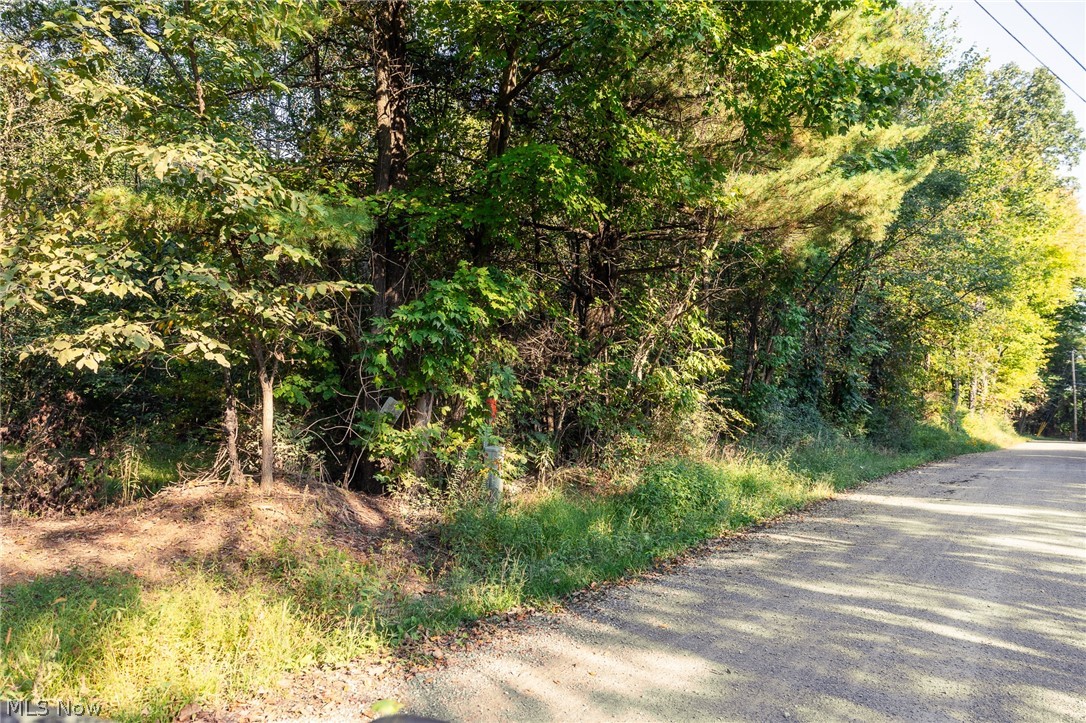 10772 Lawndell Road SW Navarre OH 44662