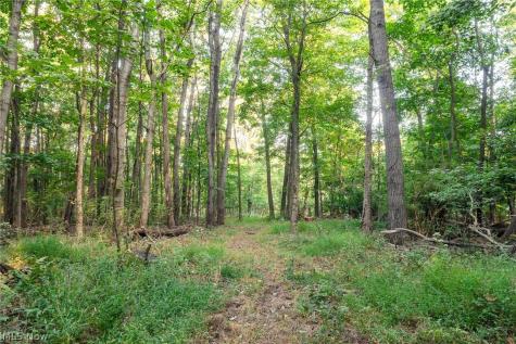 10772 Lawndell Road SW Navarre OH 44662