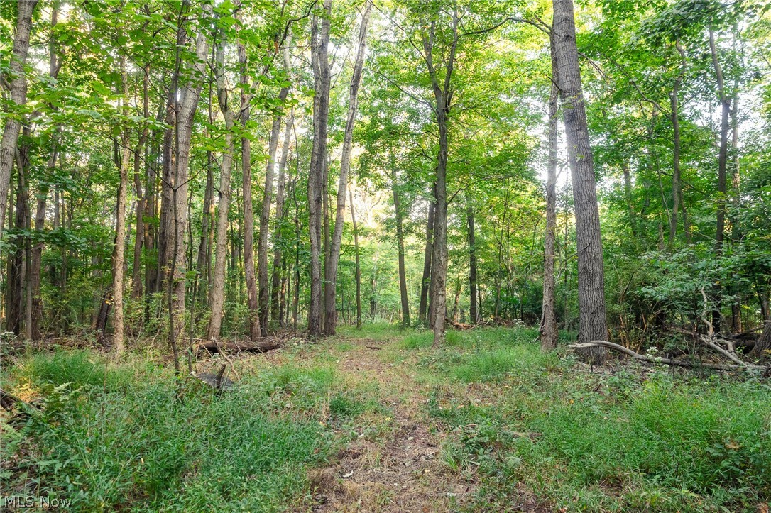 10772 Lawndell Road SW Navarre OH 44662