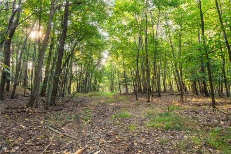 10772 Lawndell Road SW Navarre OH 44662