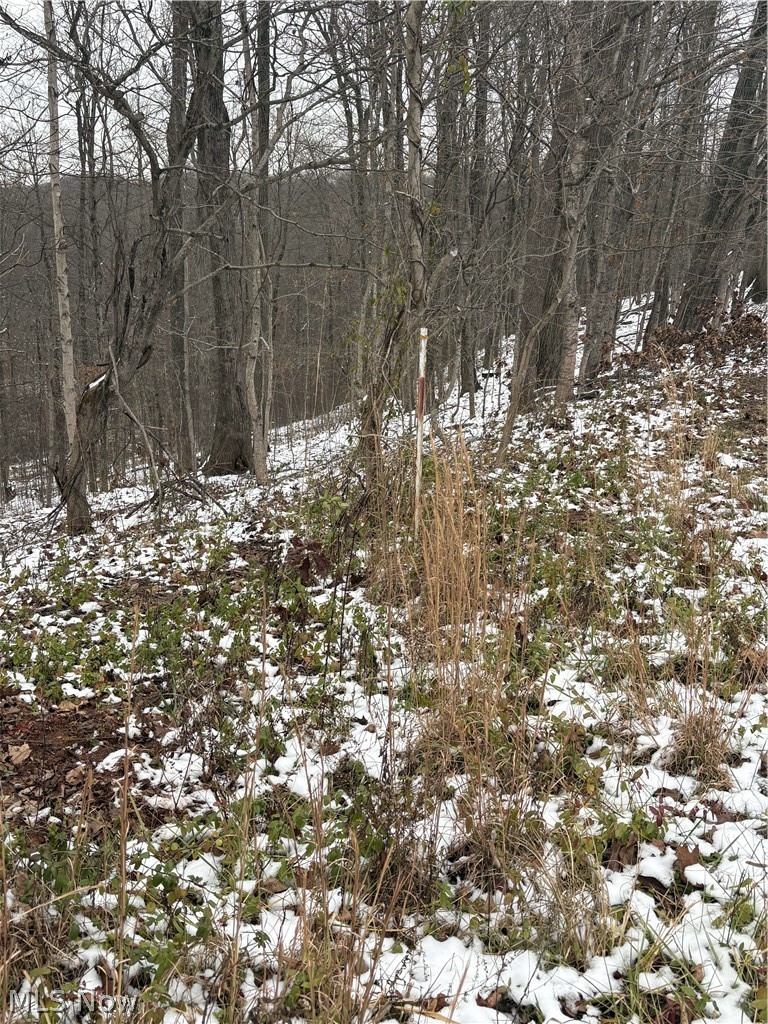 State Route 555 Cutler OH 45724
