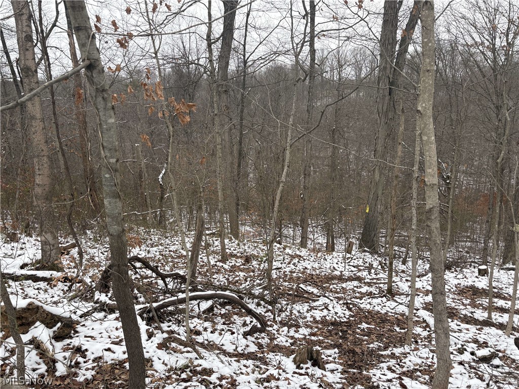 State Route 555 Cutler OH 45724
