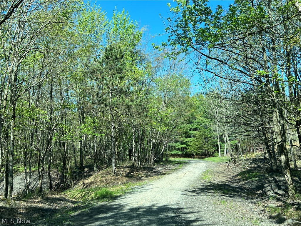 8371 French Hill Road NW Bolivar OH 44612