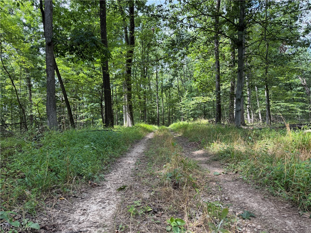 8371 French Hill Road NW Bolivar OH 44612
