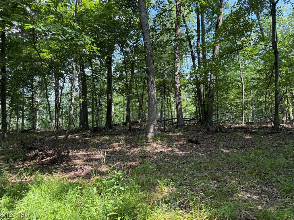 8371 French Hill Road NW Bolivar OH 44612