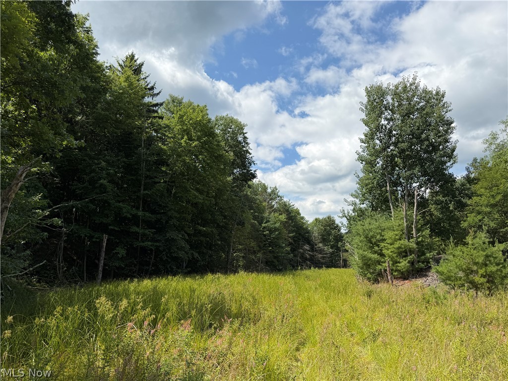 8371 French Hill Road NW Bolivar OH 44612